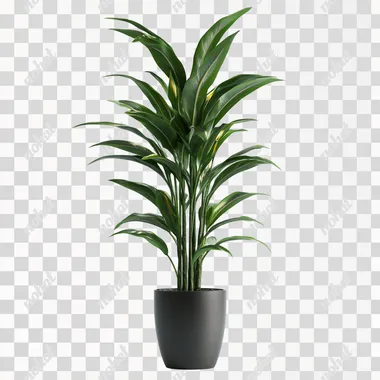 tall potted plant on white background photorealistic