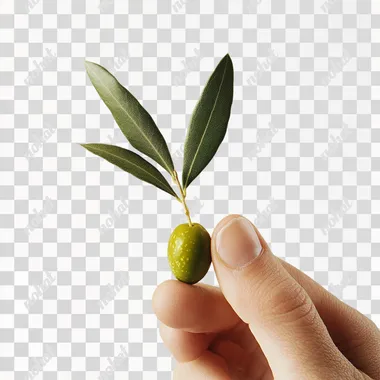 a super detailed photograph of a thumb and index finger holding an olive with an olive leaf against a white background