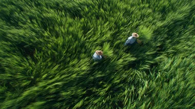 Blowing through the green wheat field, scarecrows in the wheat field, top view, Chinese rural style, green grassland background film stills, real shots, rich details and super high resolution. -