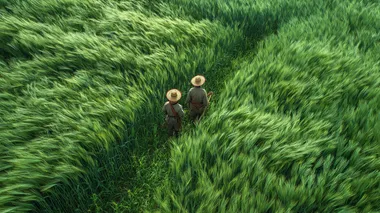 Blowing through the green wheat field, scarecrows in the wheat field, top view, Chinese rural style, green grassland background film stills, real shots, rich details and super high resolution. -