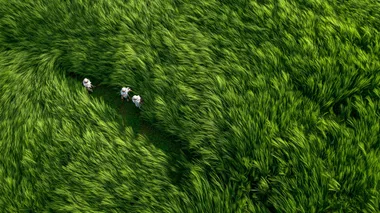 Blowing through the green wheat field, scarecrows in the wheat field, top view, Chinese rural style, green grassland background film stills, real shots, rich details and super high resolution. -
