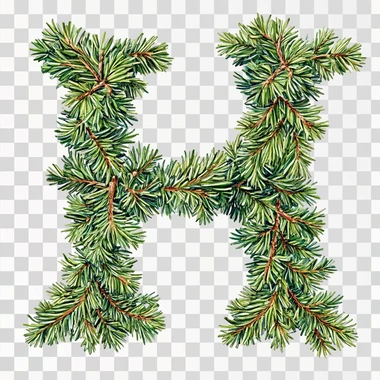 The letter H decorated with needles. The tree has a beautiful green color coniferous branches.