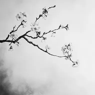image branch sakura realism black and grey high contrast