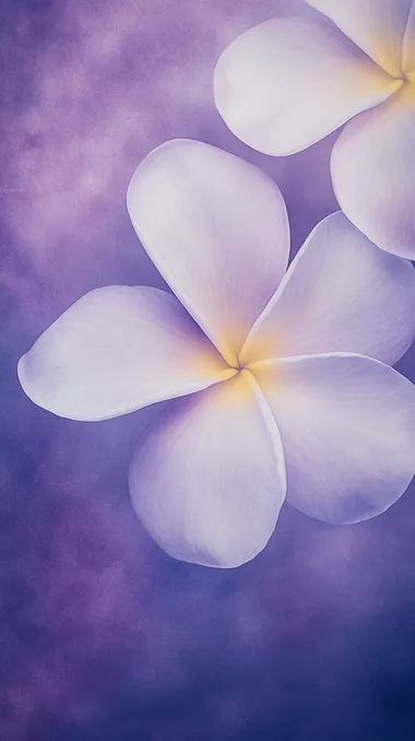 Macro photograph of a fully bloomed Plumeria flower with natural white petals and a soft yellow center. The background features a plum tone with subtle indigo accents, creating a soft gradient and a dreamy atmosphere. The lighting is soft and diffused, enhancing the textures and intricate details of the petals. Professional macro photography settings: 100mm lens, aperture f/8 for optimal depth of field, ISO 100 for minimal noise, shutter speed 1/200 sec. 8K resolution, high detail, sharp focus, photorealistic style   --s 50