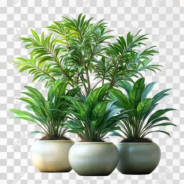 Exquisite potted plants, green plants, green leaves, white background image, bright, hyper realistic photography --s 750