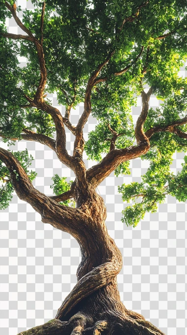 tree of life again white background, photographer, hyper-realistic, hyper-detailed, leaves are glowing, exuding a sense of tranquility and elegance