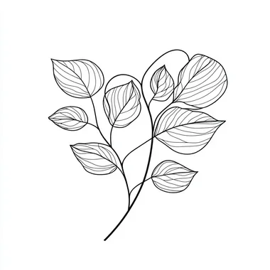illustriertes valentienstag herz in schwarz wei mit als eucaliptus minimalistisches design one line