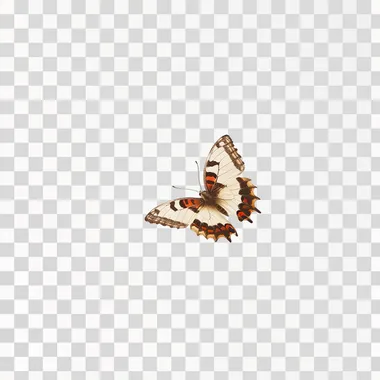 Wild Butterfly flying in white background