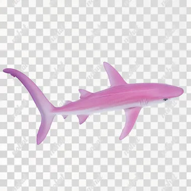 pink shark on white background