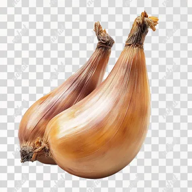 banana-shaped shallot on white background studio photograph, no shadow, photorealistic, cinematic composition, cinematic high detail, ultra realistic, cinematic lighting, shot on 50mm lens, ultra wide angle, depth of field, hyper detailed, beautiful color