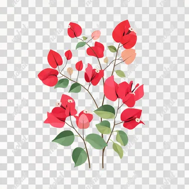 Vector illustration of bougainvillea, red bougainvillea, simple graphics, simple color blocks, vector, pure white background   pocp43m