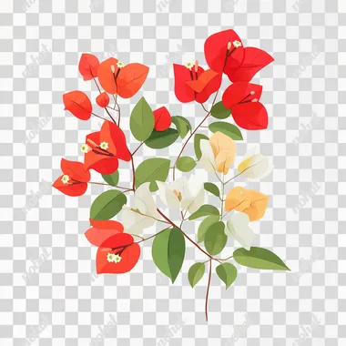 Vector illustration of bougainvillea, red bougainvillea, simple graphics, simple color blocks, vector, pure white background   pocp43m
