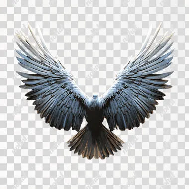 3D render as an octane render made in cinema4d with black background, Angel wings in perfect symmetry made out of a hybrid between wings of a dove and wings of a hawk spread out, create a depth using light and shadow with omni invisible light source from the top, precision details