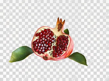 Pomegranate with half cut open and green leaf isolated on a white background, detailed photograph, natural lighting, sharp focus.