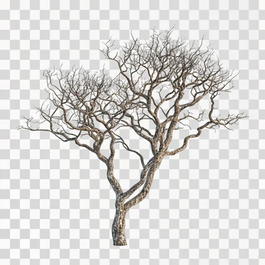 photo real tree isolated on clean white background no floor
