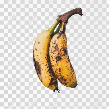 a professional photo of 3 attached bananas for commercial promotion , white background , studio setup