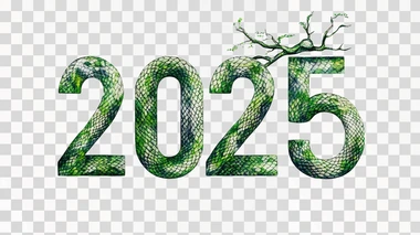 lettering text "2025" with green tree snake print. on white background,