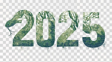 lettering text "2025" with green tree snake print. on white background,