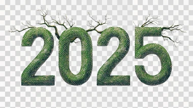 lettering text "2025" with green tree snake print. on white background,