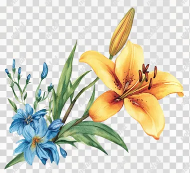 Watercolor, orange and yellow lily flower with blue wildflower clipart on the left side of the page border frame, solid white background, vintage style.