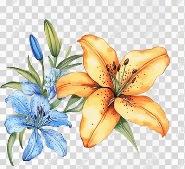 Watercolor, orange and yellow lily flower with blue wildflower clipart on the left side of the page border frame, solid white background, vintage style.