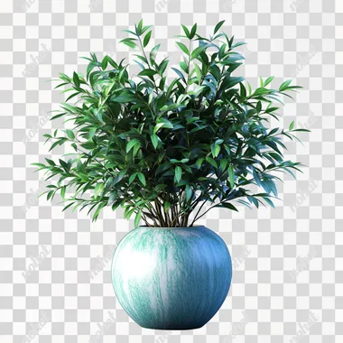 a beautiful evergreen plant vase, no background
