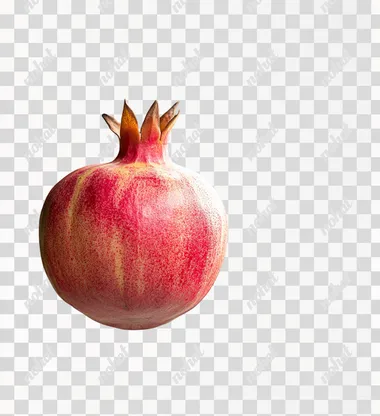 Pomegranate, white background, vintage illustration style, watercolor and pencil drawing, botanical book illustrations, detailed botanical paintings, traditional hand-drawn illustrations, high resolution, hyper-realistic detail, high definition, high quality, high resolution.