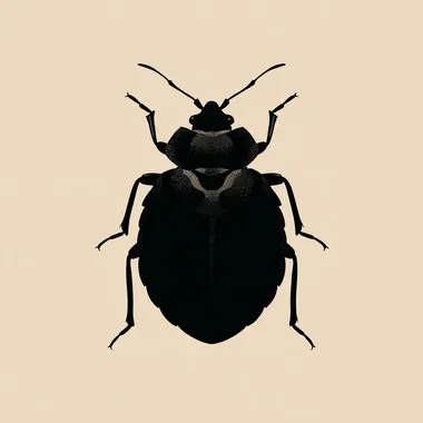 a flat vector silhouette of a bed bug