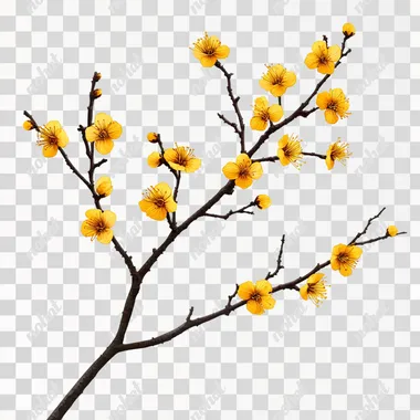 a branch of yellow blossoms, white background, simple, realistic