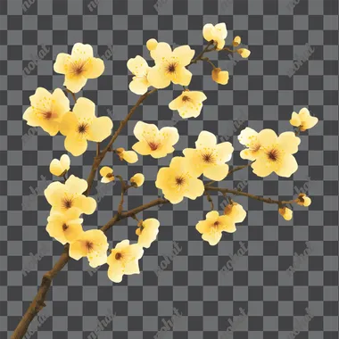 a branch of yellow blossoms, white background, simple, realistic