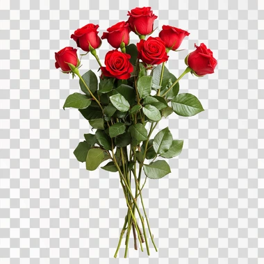A realistic bouquet of red Ecuadorian roses, highly detailed, isolated on a white background, soft natural lighting, minimal shadows, perfect for easy cut-out