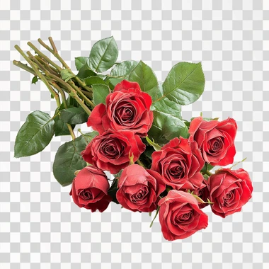 A realistic bouquet of red Ecuadorian roses, highly detailed, isolated on a white background, soft natural lighting, minimal shadows, perfect for easy cut-out