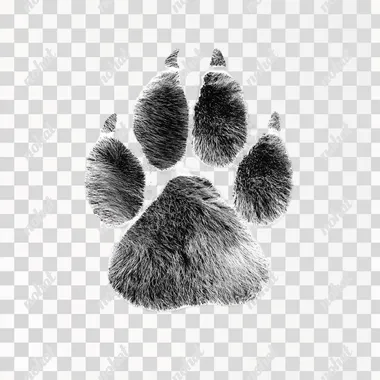 pawprint like it was stamped, simple, realistic, no other imagery, black ink , solid white background --s 250