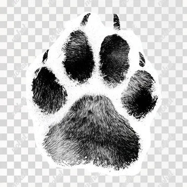 pawprint like it was stamped, simple, realistic, no other imagery, black ink , solid white background --s 250