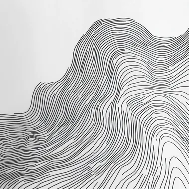 black matte lines on a white background