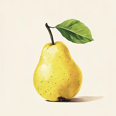 minimalistic art print illustrated pear