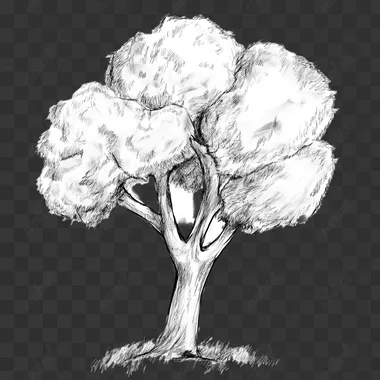 drawing of tree as drawein by a kid. isolated in hwite