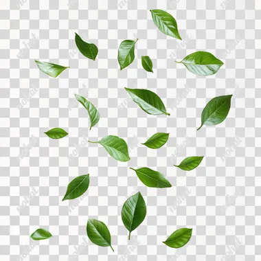 green leaves, levitating, studio photo realistic, white background