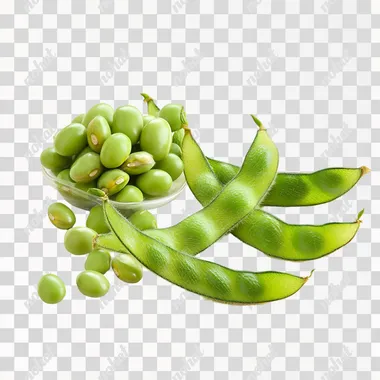 stock photograph of loose soybeans, isolated on white background