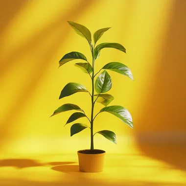 a realistic plant growing, realistic and soft, 3 point lighting, professional lighting, full yellow backdrop