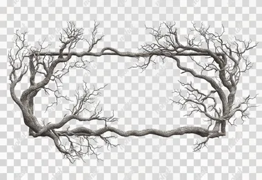 Ultra-realistic, photorealistic photo. Rectangular frame 16:9, made of curled tree branches. White background.