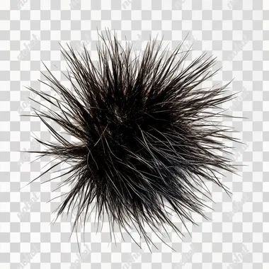 spiky hair isolated on white background