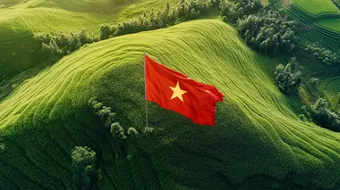 A cinematic top view shot of A vietnam flag on a beatiful green field