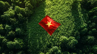 A cinematic top view shot of A vietnam flag on a beatiful green field