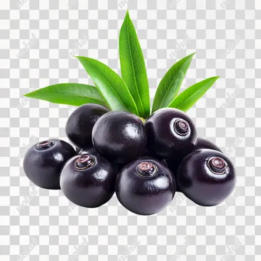 small pile of acai berries photoshoot, white background