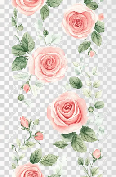 Watercolor soft pink roses with green leaves and stem, detailed, vintage colors, on white background, in the style of clipart.