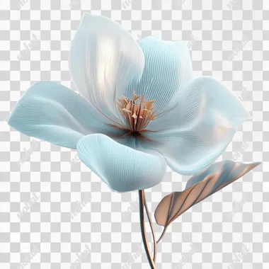 A flower model, simple, transparent texture modeling flower, 3D model