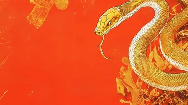 A golden snake is wrapped around the edge of an orange-red background, creating Chinese New Year poster illustrations with a minimalist style and flat design. The color scheme includes white, yellow, and gold tones. It features a close-up composition, Chinese ink painting, and a strong sense of lines. High resolution, bright colors, and Chinese elements make it rich in details. A clean red wall creates a festive atmosphere for celebrating the Spring Festival.  --s 50