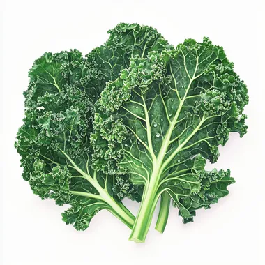 Create a highly realistic image of fresh kale leaves, showcasing their texture and vibrant green color. The background should be plain white to emphasize the kale, capturing details such as the ribbing of the leaves and the fresh dew drops on the surface.