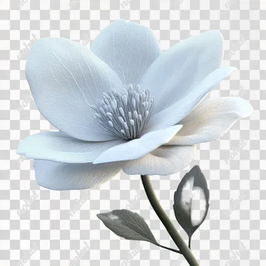 A flower model, simple, transparent texture modeling flower, 3D model